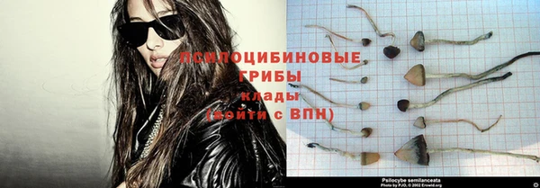 a pvp Абдулино