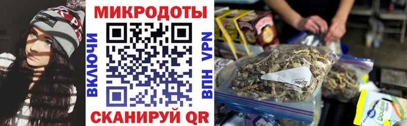 Галлюциногенные грибы MAGIC MUSHROOMS Энем
